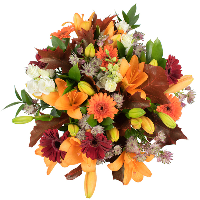 A lush, elevated close-up of an autumn-inspired hand-tied bouquet, assembled with the careful eye of a neighbourhood florist in Chigwell. Several prominent orange Asiatic lilies open fully at the core, their trumpet-shaped petals glossy and dramatic, surrounded by many tight lily buds in pale orange and bright green that introduce motion and promise. The arrangement is punctuated with vibrant orange Gerbera daisies and their deep burgundy counterparts, whose ray-like petals create sunny, graphic points of interest. Soft, creamy Lisianthus blooms slip between the stronger colours, their ruffled layers quieting the palette just enough, while clusters of muted purple Astrantia act like delicate, star-shaped punctuation, lending an airy texture throughout. Deep, reddish-brown oak-like leaves-broad and lobed-are thoughtfully placed to echo autumn's fallen foliage, balanced by fresh green leaves and slender stems that keep the bouquet feeling alive and abundant. Photographed against a pure white background with bright, even lighting, every texture from the satiny lily petals to the papery oak leaves reads clearly, evoking a sense of warmth, comfort and seasonal abundance. This piece, prepared by Flowers Chigwell in a style suited to Thanksgiving centrepieces or a cozy Chigwell home on Manor Road, captures the harvest mood: the visual richness pairs with a soft floral scent and the tactile contrast of silky petals and crisp, curled leaves, inviting touch and quiet celebration among neighbours and family.