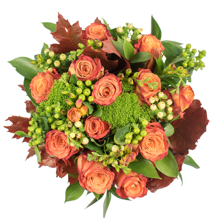Viewed straight down on a stark white field, this circular, densely layered fall bouquet celebrates warm tones and tactile variety. The focal point is a congregation of fully opened roses whose petals graduate from a pale, warm orange at the heart to richer coral and russet at the tips, producing a natural ombré reminiscent of autumn leaves. Interspersed among these are plush mounds of green, velvety Green Trick dianthus-tiny pom-pom textures that read like freshly gathered moss and introduce a lively, verdant contrast. Clusters of Hypericum berries-some a vivid lime-green, others a soft cream or pale yellow-dot the design and reflect light with a slight waxy sheen, offering delicate points of interest against the larger blooms. Throughout, deep russet to burgundy foliage with broad lobed shapes anchors the palette, conjuring the colour of fallen leaves in a local park.
Generous green leaves, some broad and glossy, form a full, supportive backdrop, creating a sense of abundance and natural layering. The soft, diffuse illumination reveals velvety rose textures, the fine fuzz of dianthus, and the crisp edges of the autumn leaves, while the imagined scent is quietly floral with earthy undertones. This arrangement feels particularly at home on a Chigwell dining table during Thanksgiving or as a seasonal gift after a stroll along Chigwell High Road or through Roding Valley, where the colours echo the landscape. It's a considered composition that balances cosy warmth with refined floral craftsmanship.