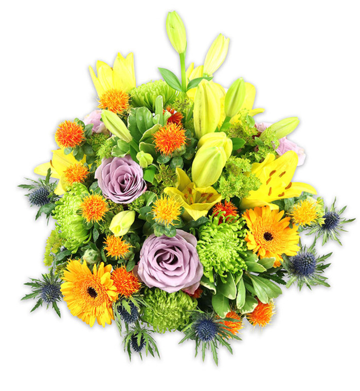 A vibrant, high-density bouquet presented on white that lets every hue and texture read clearly: warm lemon and gold, pumpkin-orange, fresh chartreuse-green, cool lavender and deep slate-blue. The tallest elements are yellow Asiatic lilies-some opened with their freckled inner petals and visible stamens, others held as sleek, upward-pointing buds-which provide vertical structure and a feeling of anticipation. Two or more powdery lavender roses sit slightly recessed, their layered petals forming a soft, romantic focal point against the brighter, more extrovert blooms. Large orange Gerbera daisies spread flat-faced petals around darker centres, creating solar highlights among the greens. Bright lime 'button' chrysanthemums compress into cushiony, textured mounds that thicken the silhouette, while smaller round orange-yellow blooms scatter through the arrangement like confetti, adding playful punctuation. Distinctive blue-grey sea thistles (Eryngium) appear along the lower flanks and side profiles; their spiky bracts and rigid stems introduce an architectural, slightly rustic note that contrasts the bouquet's lush softness. An assortment of broad and narrow green leaves-from glossy lily foliage to smaller filler greens-wraps the flowers and provides depth, shadow, and breathing space. The overall impression is one of skillful balance: exuberant yet composed, textural yet harmonious. Bathed in gentle, even light, this arrangement feels as if it could sit at a sunlit table after a walk through a nearby green lane or as a bright, comforting presence in a Chigwell sitting room at afternoon tea. It communicates celebration, warmth, and considered craftsmanship.