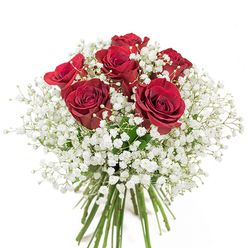 As a professional florist serving Chigwell, there's an artistry in creating an arrangement that balances passion and elegance as exquisitely as this one. An opulent collection of approximately twenty deep red roses, each petal opening wide to reveal velvet softness and a rich, inviting hue, sits in harmony with the frothy sprays of baby's breath that surround them. The fluffy white blossoms illuminate every gap, producing an ethereal halo that gently tempers the drama of the crimson roses. The effect evokes the very spirit of Chigwell-graceful, welcoming, and quietly sophisticated-mirrored in the clean lines of the clear glass vase and the verdant stems twisting within. Resting against a radiant white background, every detail sparkles, whether for a heartfelt anniversary at Grange Hill or a spontaneous declaration delivered to a loved one near Limes Farm. This bouquet, brought to life by Flowers Chigwell, is a homage to love, fresh beginnings, and the beauty found in both celebration and quiet moments alike.